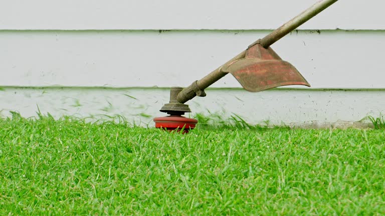 Best Lawn Drainage Solutions  in Troy, MO